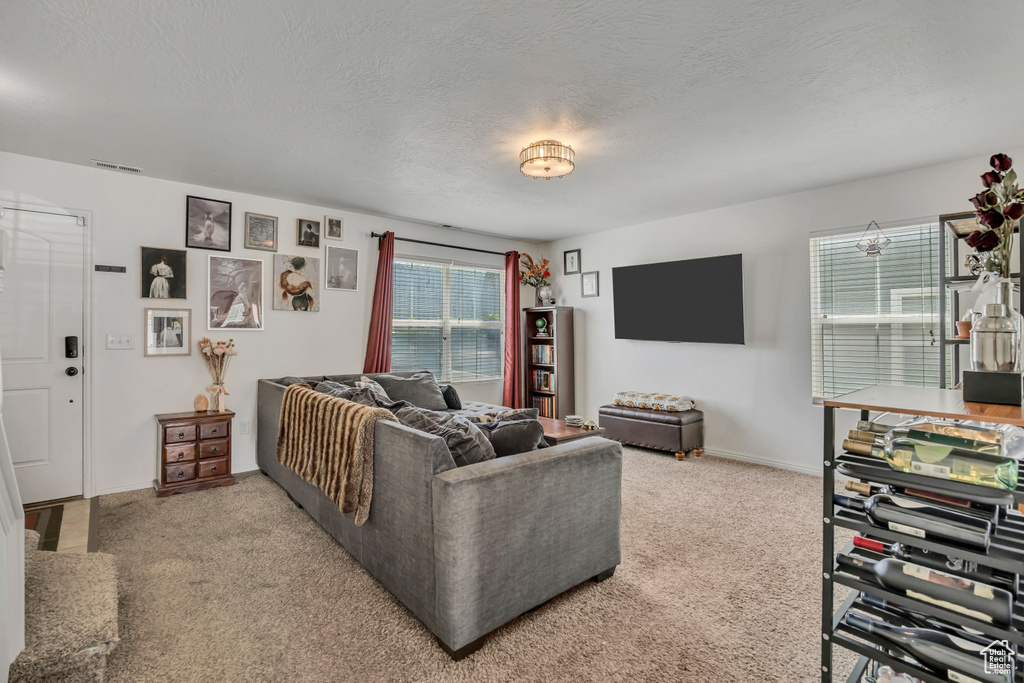 176 W FINLAY DR South Salt Lake, UT 84115