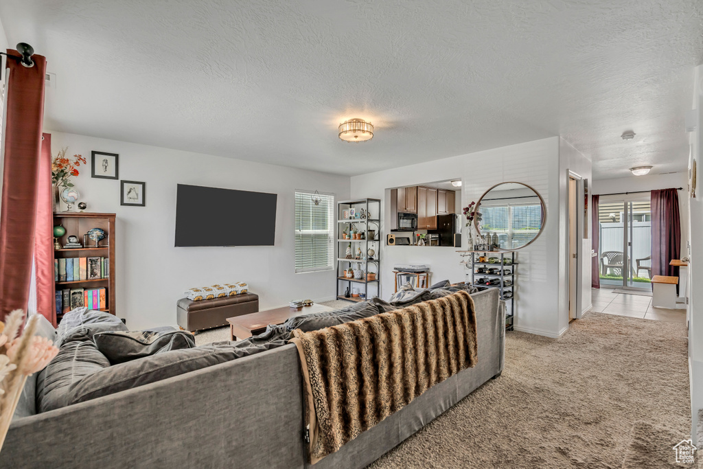 176 W FINLAY DR South Salt Lake, UT 84115
