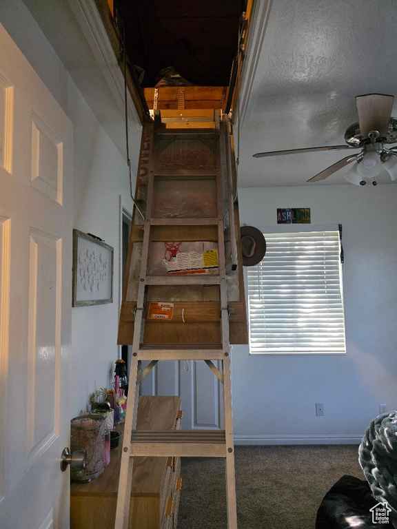 460 E 300 NORTH Spanish Fork, UT 84660