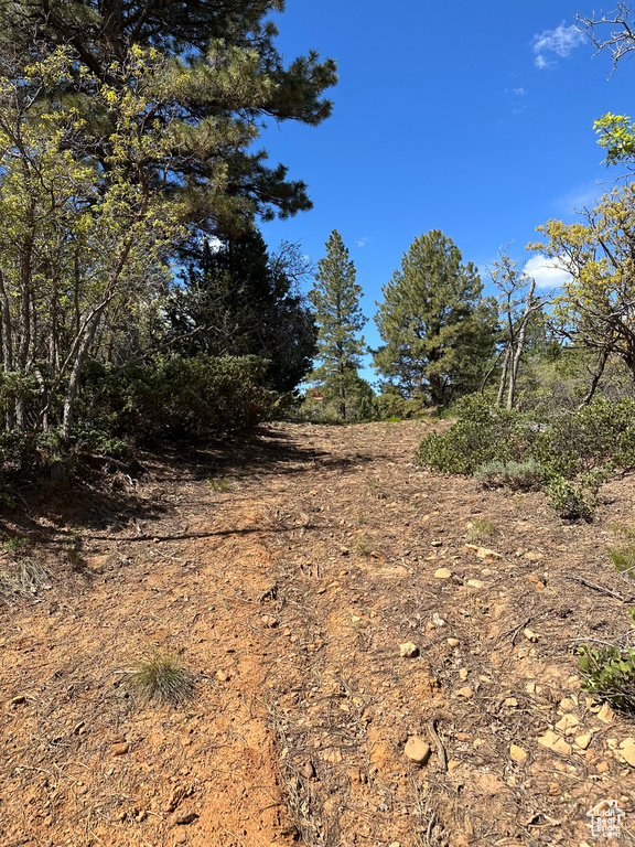 733  BONNIE GREEN DR Duck Creek Village, UT 84762