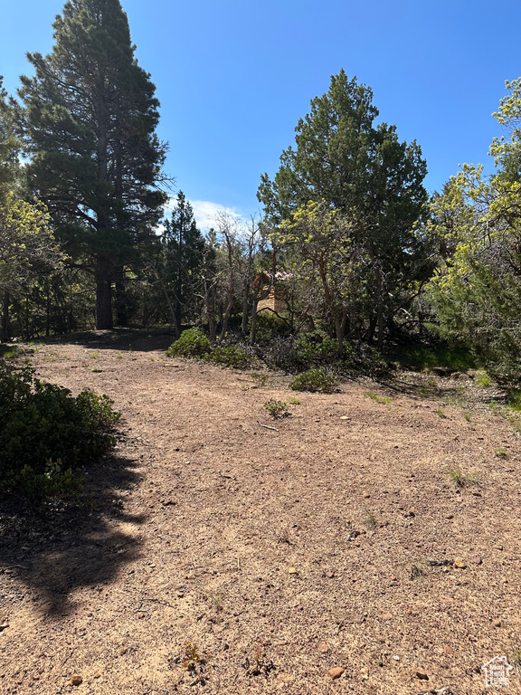 733  BONNIE GREEN DR Duck Creek Village, UT 84762
