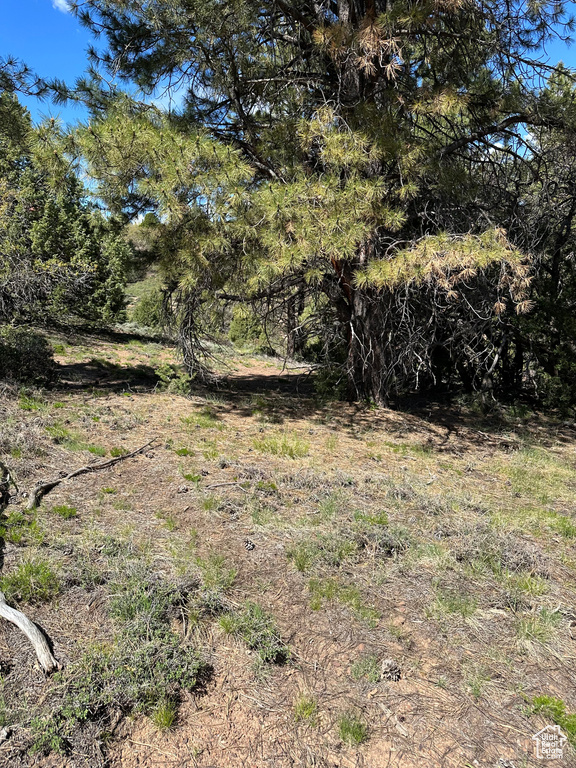 733  BONNIE GREEN DR Duck Creek Village, UT 84762