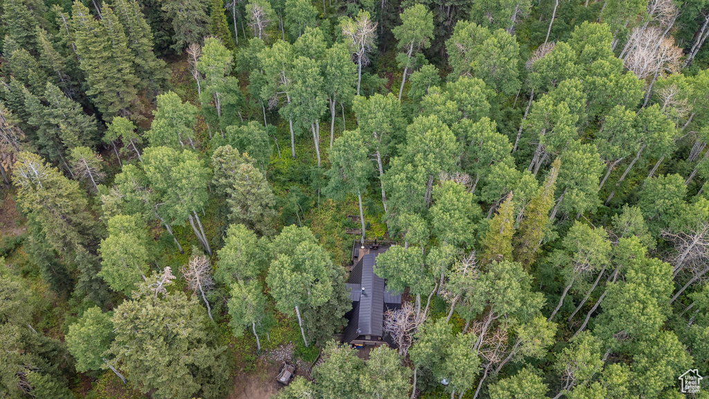 11152 E GREEN BRIAR RD #460 Heber City, UT 84032