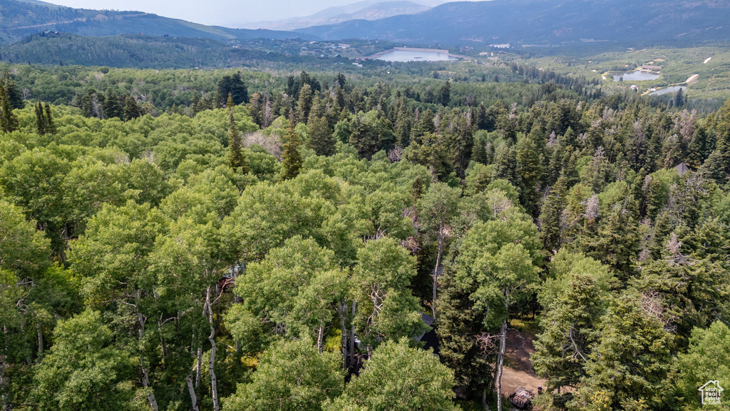 11152 E GREEN BRIAR RD #460 Heber City, UT 84032