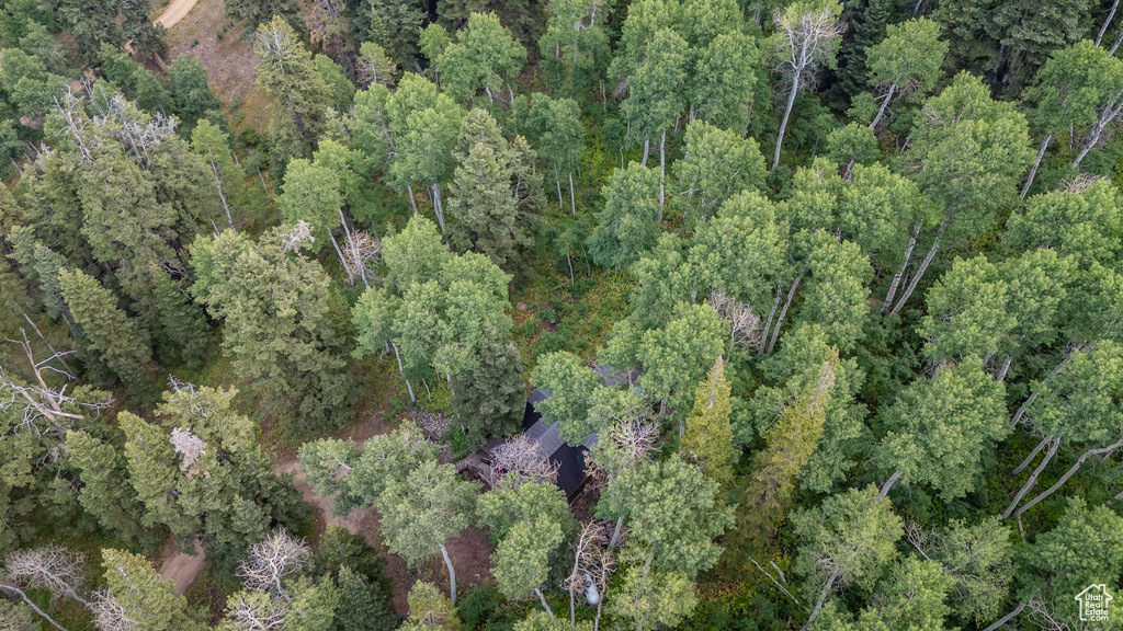 11152 E GREEN BRIAR RD #460 Heber City, UT 84032