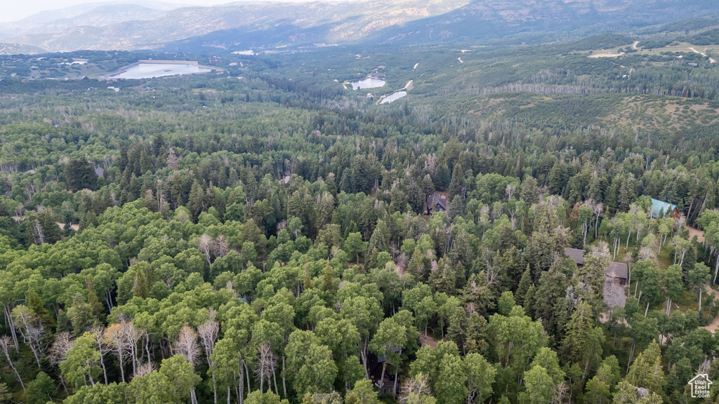 11152 E GREEN BRIAR RD #460 Heber City, UT 84032