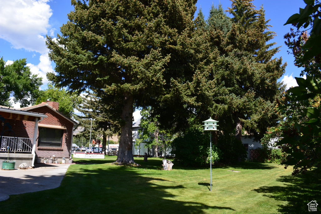 Photo 43 for MLS #2102731 at 443 Washington St