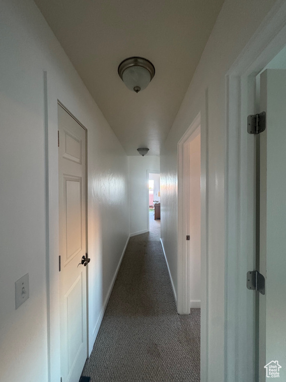 3764 PRICKLY PEAR CIR #2-A8 Moab, UT 84532
