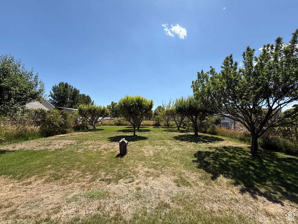 2303 W CYNTHIA ANN CIR Riverton, UT 84065
