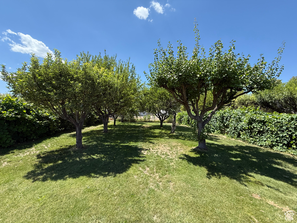 2303 W CYNTHIA ANN CIR Riverton, UT 84065