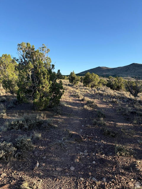  Newcastle, UT 84756