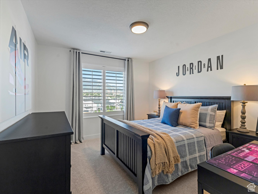 11619 S HALCOM DR South Jordan, UT 84095