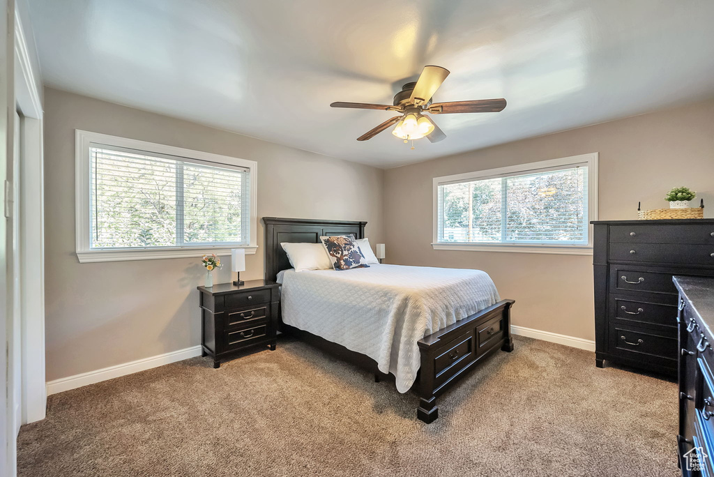 164 E 300 N Farmington, UT 84025