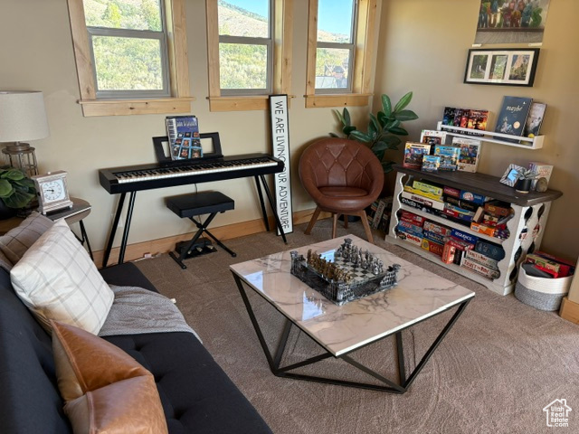 923 N HICKOCK DR #426 Fish Haven, ID 83287