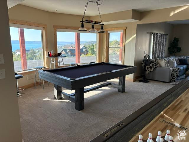 923 N HICKOCK DR #426 Fish Haven, ID 83287