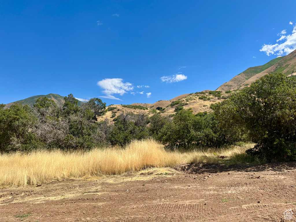 2057 E MAPLE HILLS DR Mapleton, UT 84664