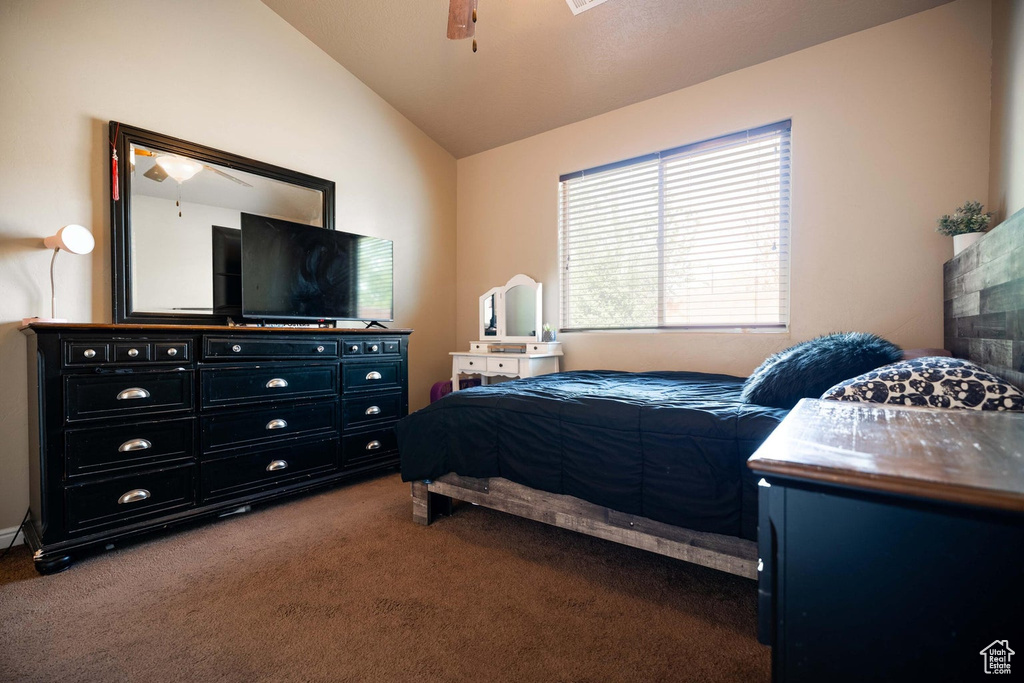 Photo 14 for MLS #2102949 at 4045 S Carisa Dr