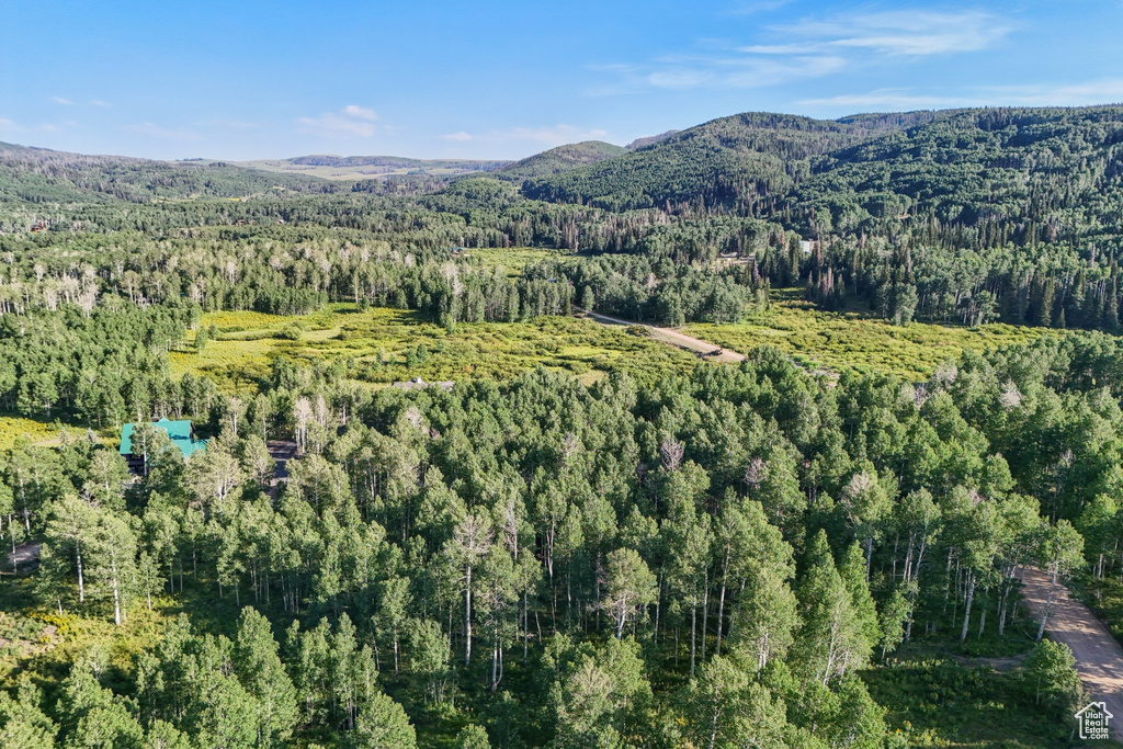 3949 N BLUE SPRUCE DR Heber City, UT 84032