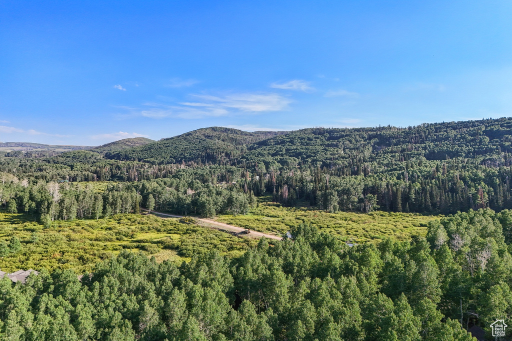 3949 N BLUE SPRUCE DR Heber City, UT 84032