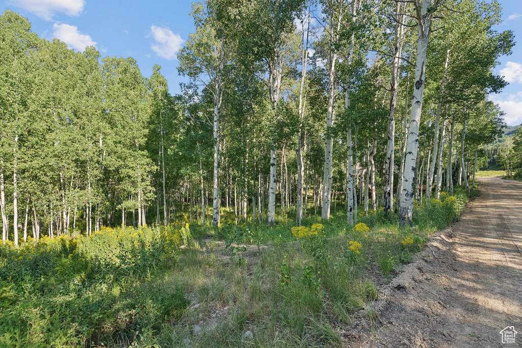 3949 N BLUE SPRUCE DR Heber City, UT 84032