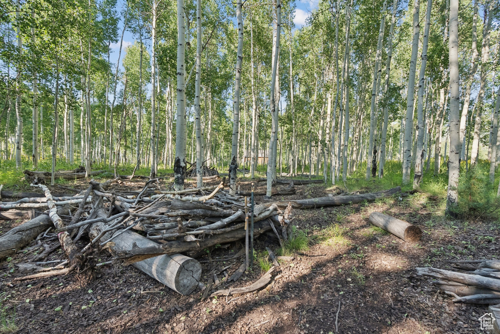 3949 N BLUE SPRUCE DR Heber City, UT 84032