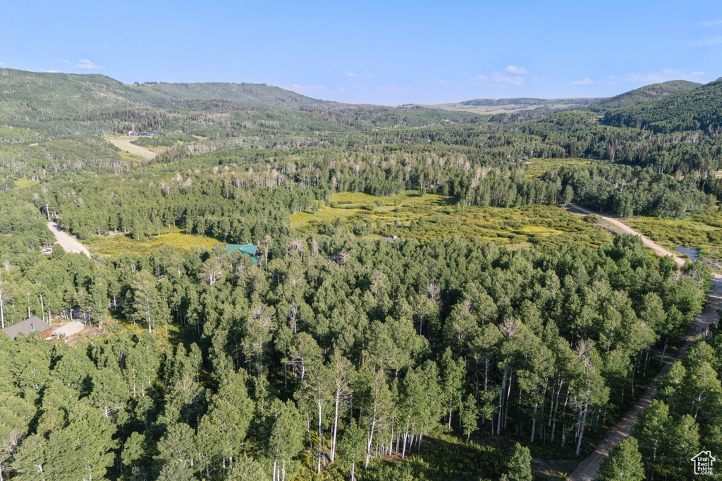 3949 N BLUE SPRUCE DR Heber City, UT 84032