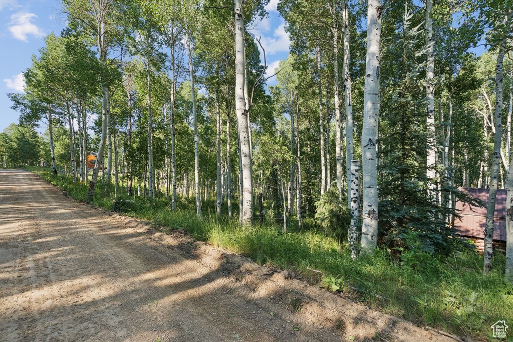 3949 N BLUE SPRUCE DR Heber City, UT 84032