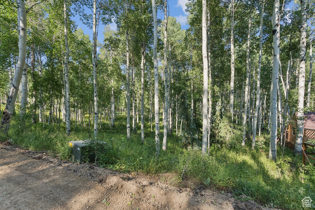3949 N BLUE SPRUCE DR Heber City, UT 84032