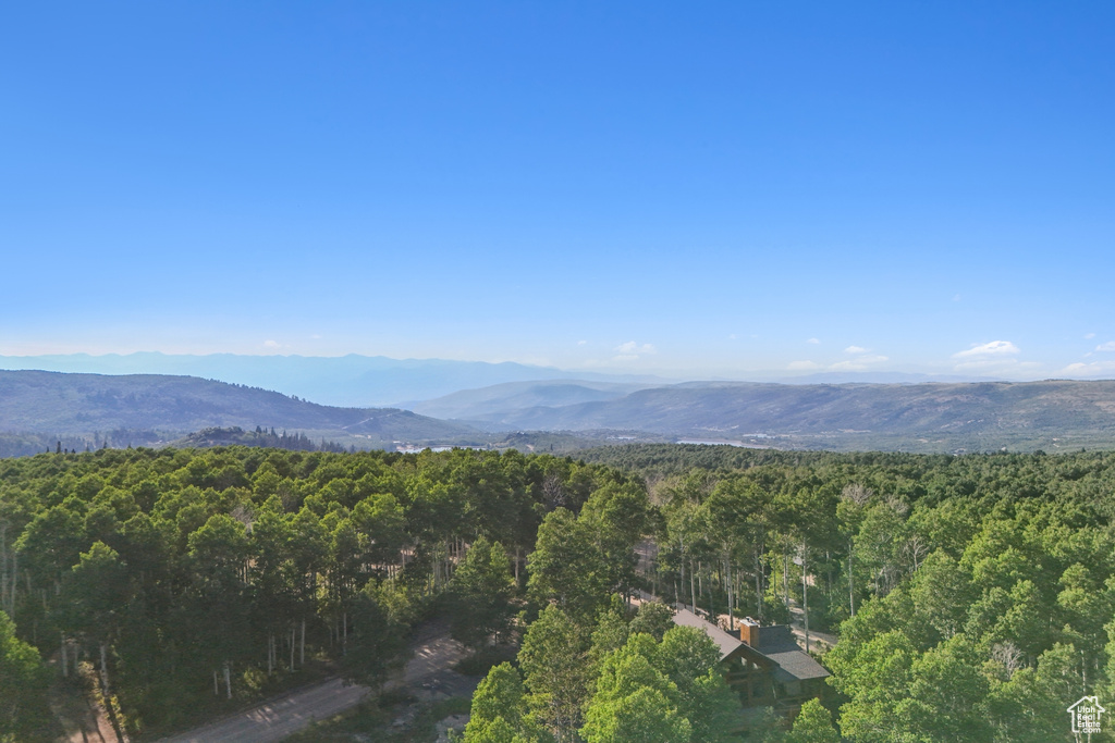 3949 N BLUE SPRUCE DR Heber City, UT 84032