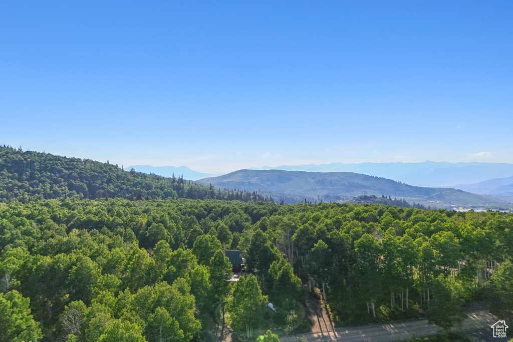 3949 N BLUE SPRUCE DR Heber City, UT 84032