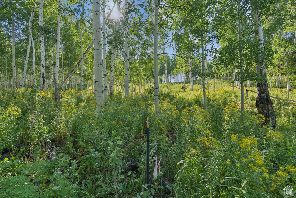 3949 N BLUE SPRUCE DR Heber City, UT 84032