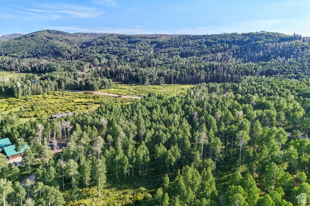 3949 N BLUE SPRUCE DR Heber City, UT 84032