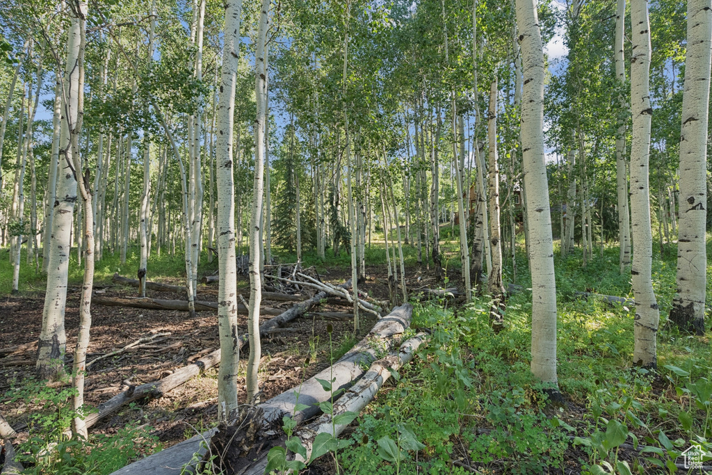 3949 N BLUE SPRUCE DR Heber City, UT 84032