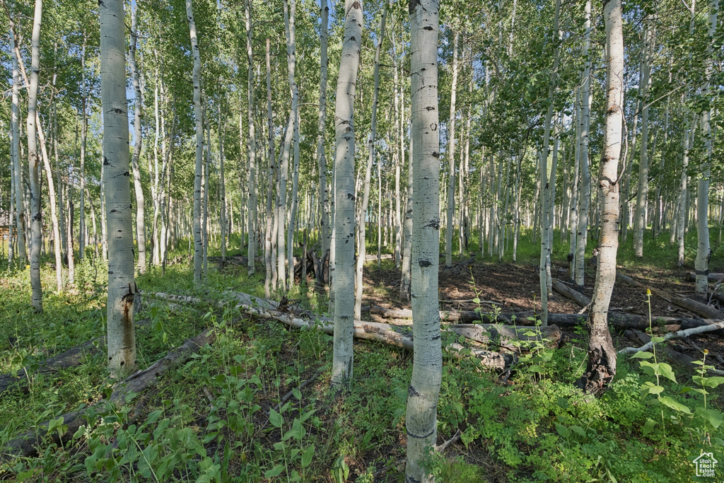 3949 N BLUE SPRUCE DR Heber City, UT 84032