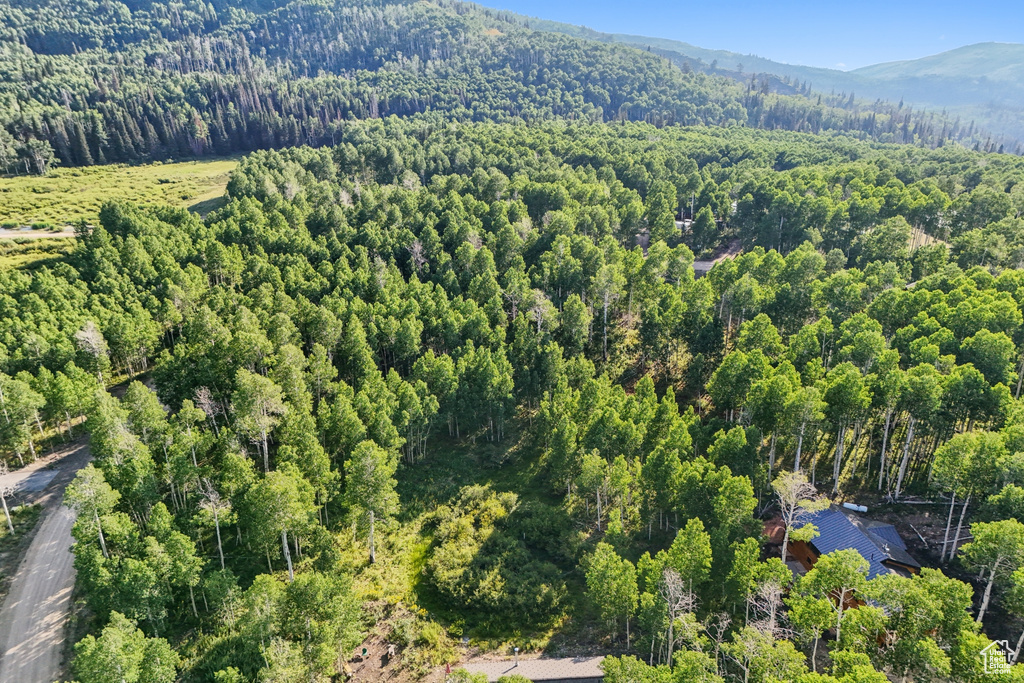3949 N BLUE SPRUCE DR Heber City, UT 84032
