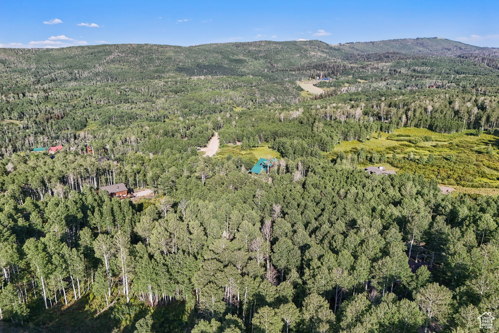 3949 N BLUE SPRUCE DR Heber City, UT 84032