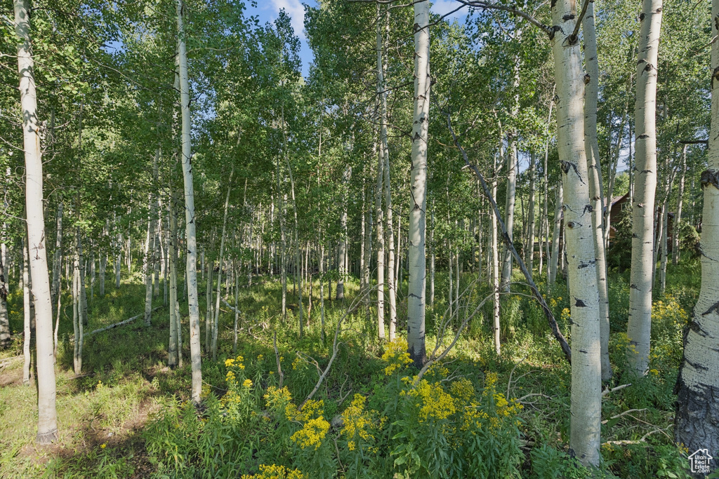 3949 N BLUE SPRUCE DR Heber City, UT 84032