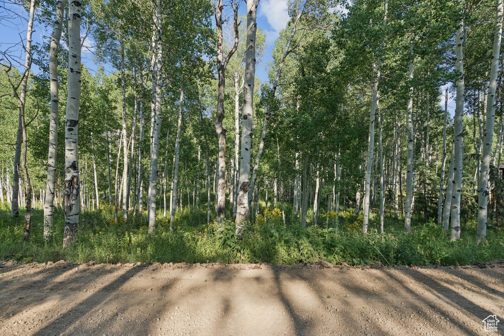 3949 N BLUE SPRUCE DR Heber City, UT 84032