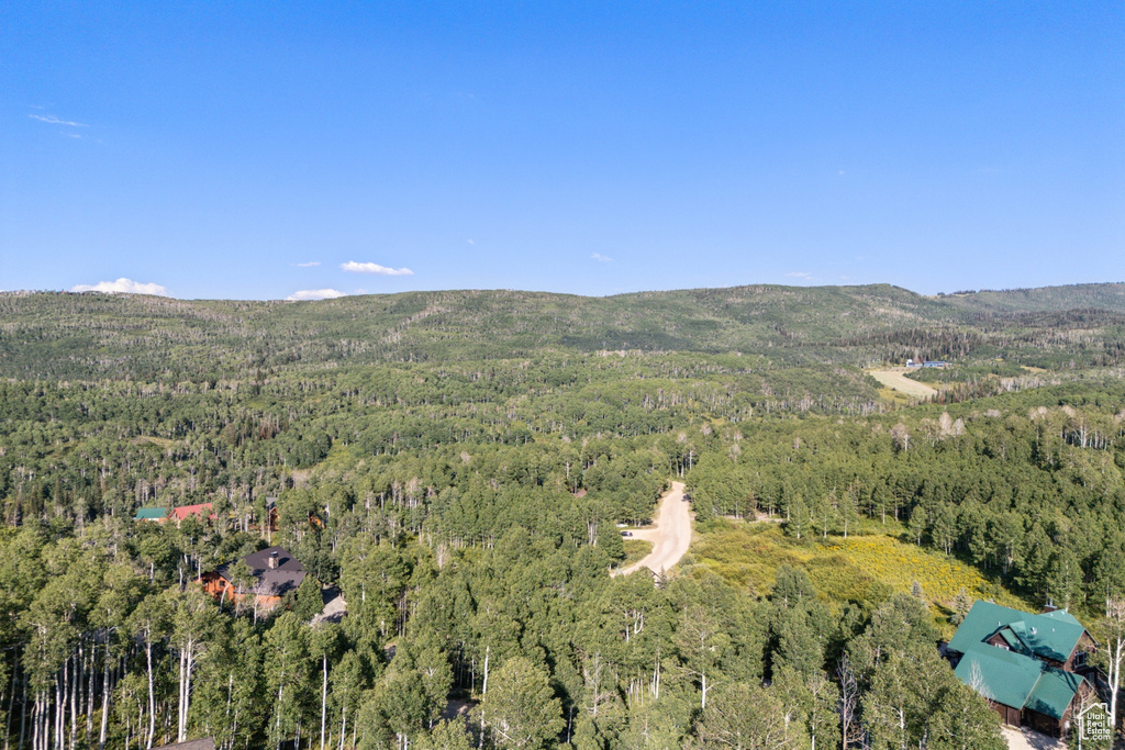 3949 N BLUE SPRUCE DR Heber City, UT 84032