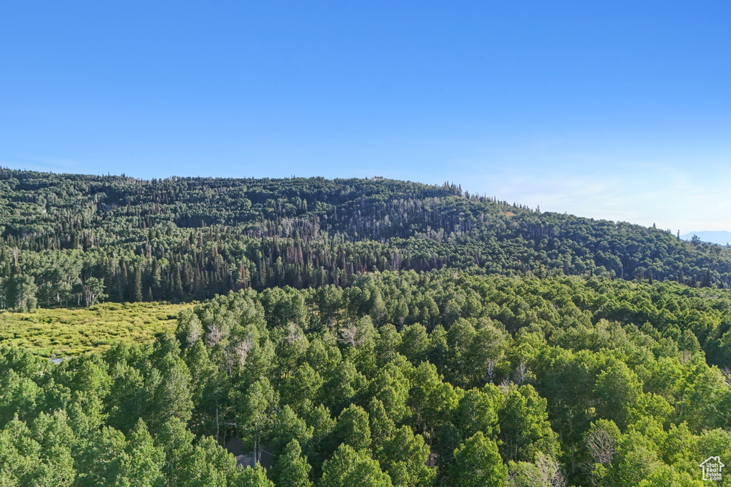 3949 N BLUE SPRUCE DR Heber City, UT 84032