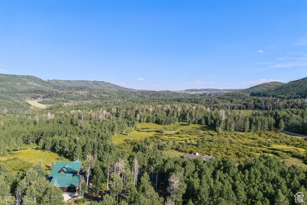 3949 N BLUE SPRUCE DR Heber City, UT 84032