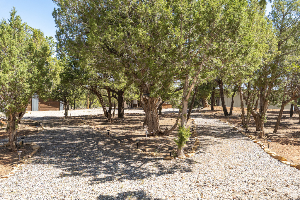 Photo 14 for MLS #2103021 at 66 True Blood Rd