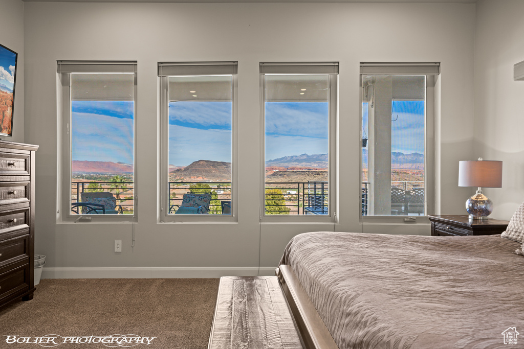 Photo 29 for MLS #2103028 at 728 W Sir Monte Dr