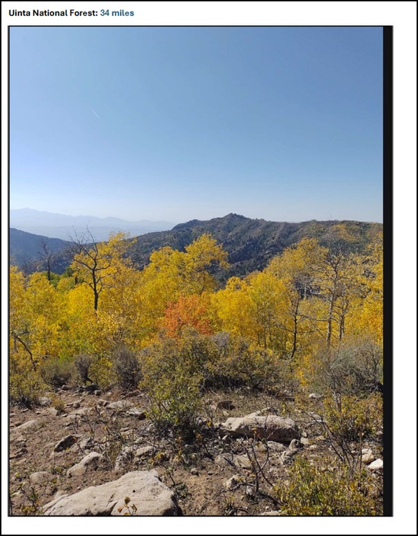 19692 S WILDHAWK Birdseye, UT 84629