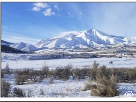 19692 S WILDHAWK Birdseye, UT 84629