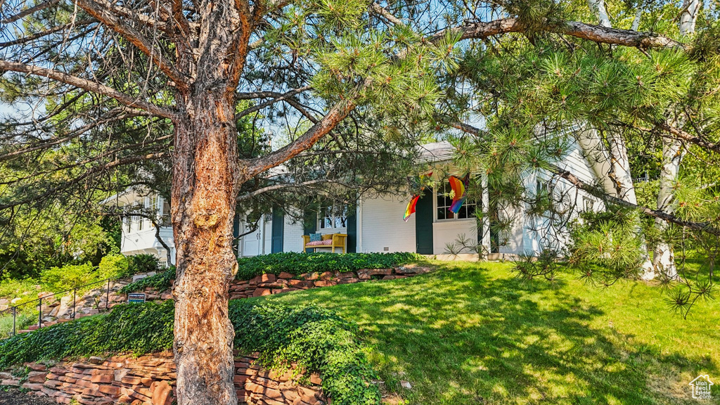 Photo 42 for MLS #2103033 at 4521 S Bruce