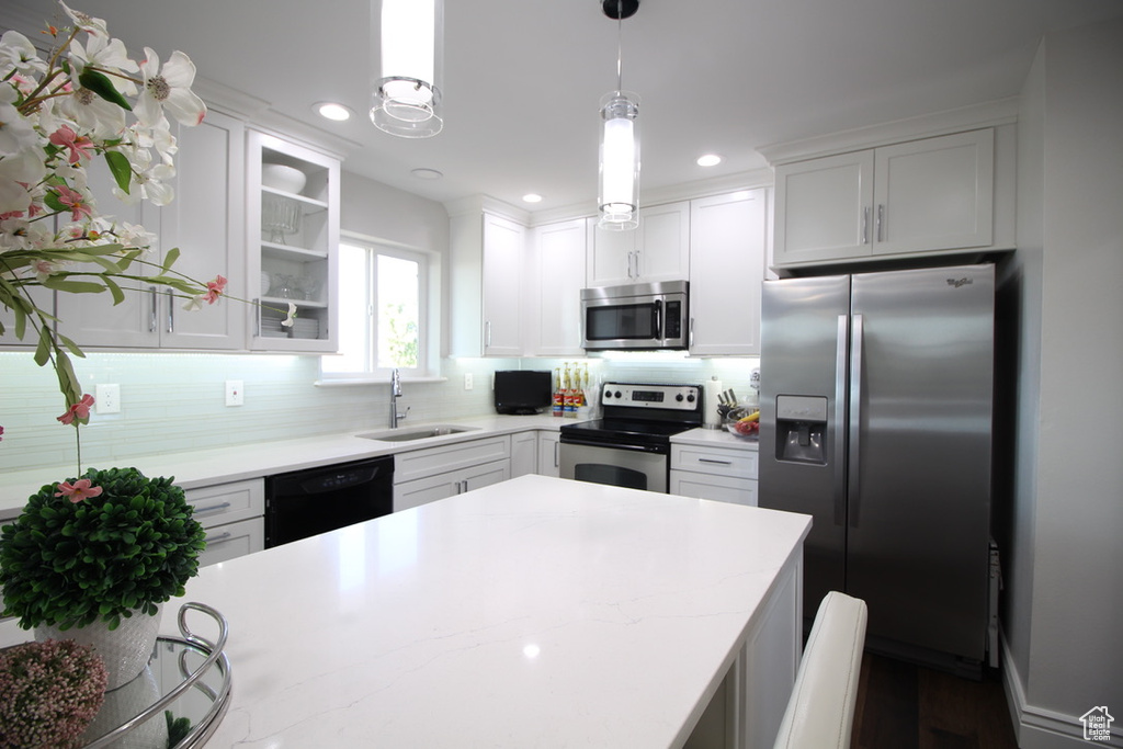 665 E BRISTLECONE LN Delta, UT 84624
