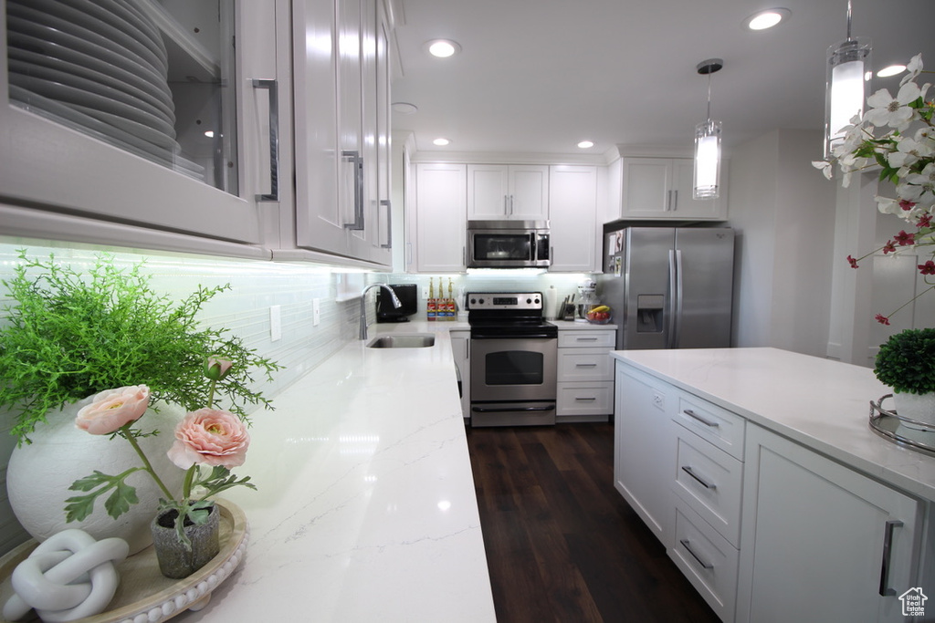 665 E BRISTLECONE LN Delta, UT 84624
