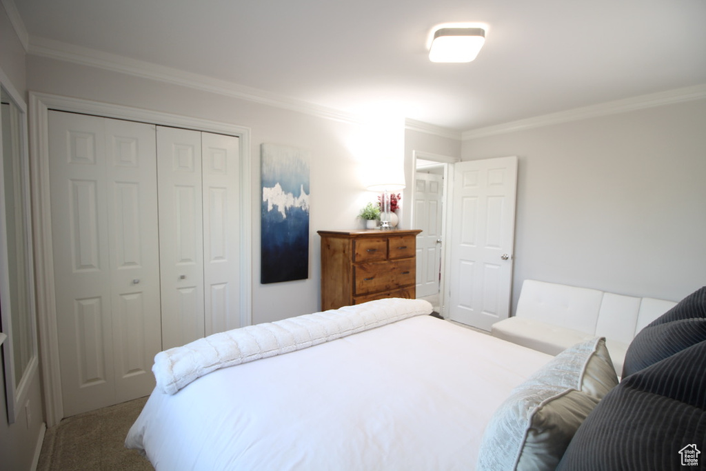 665 E BRISTLECONE LN Delta, UT 84624
