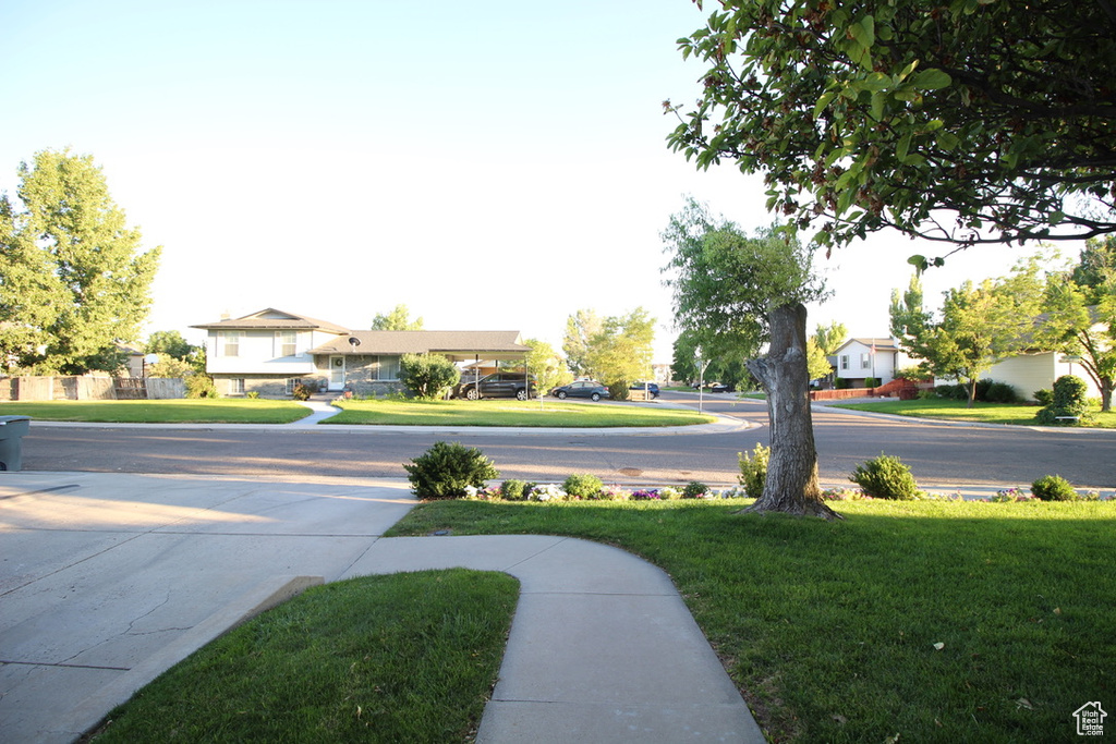 665 E BRISTLECONE LN Delta, UT 84624